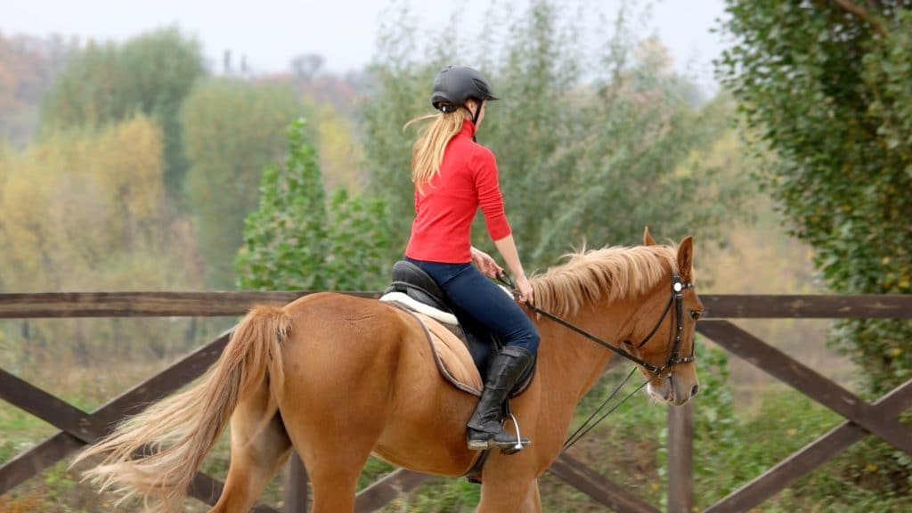 horseback riding injuries