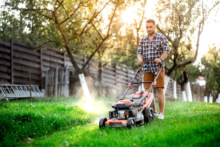 Gardening details, industrial gardener working with lawnmower and cutting grass in backyard