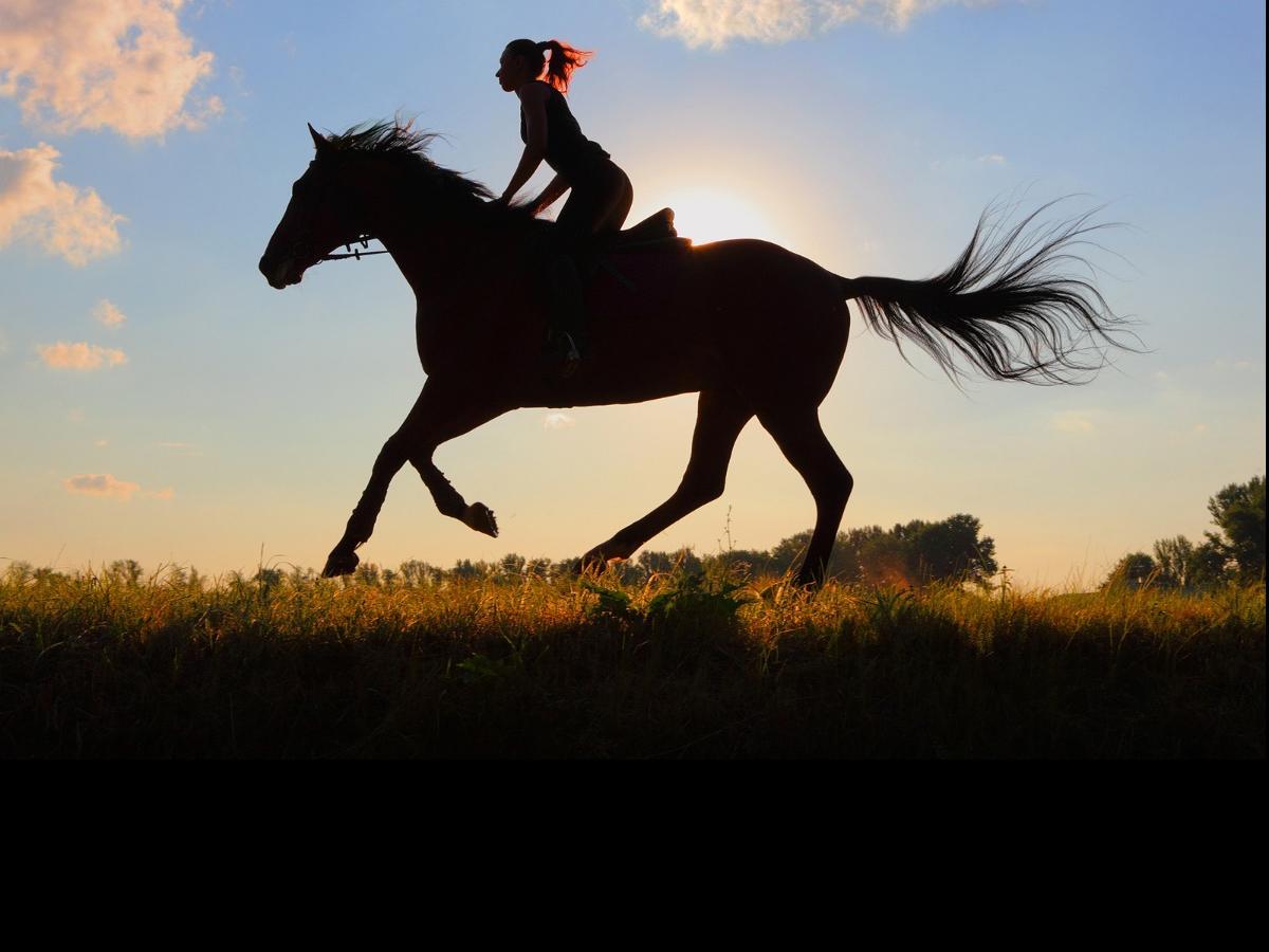 Horseback Riding and Back Pain Ward Chiropractic & Rehabilitation