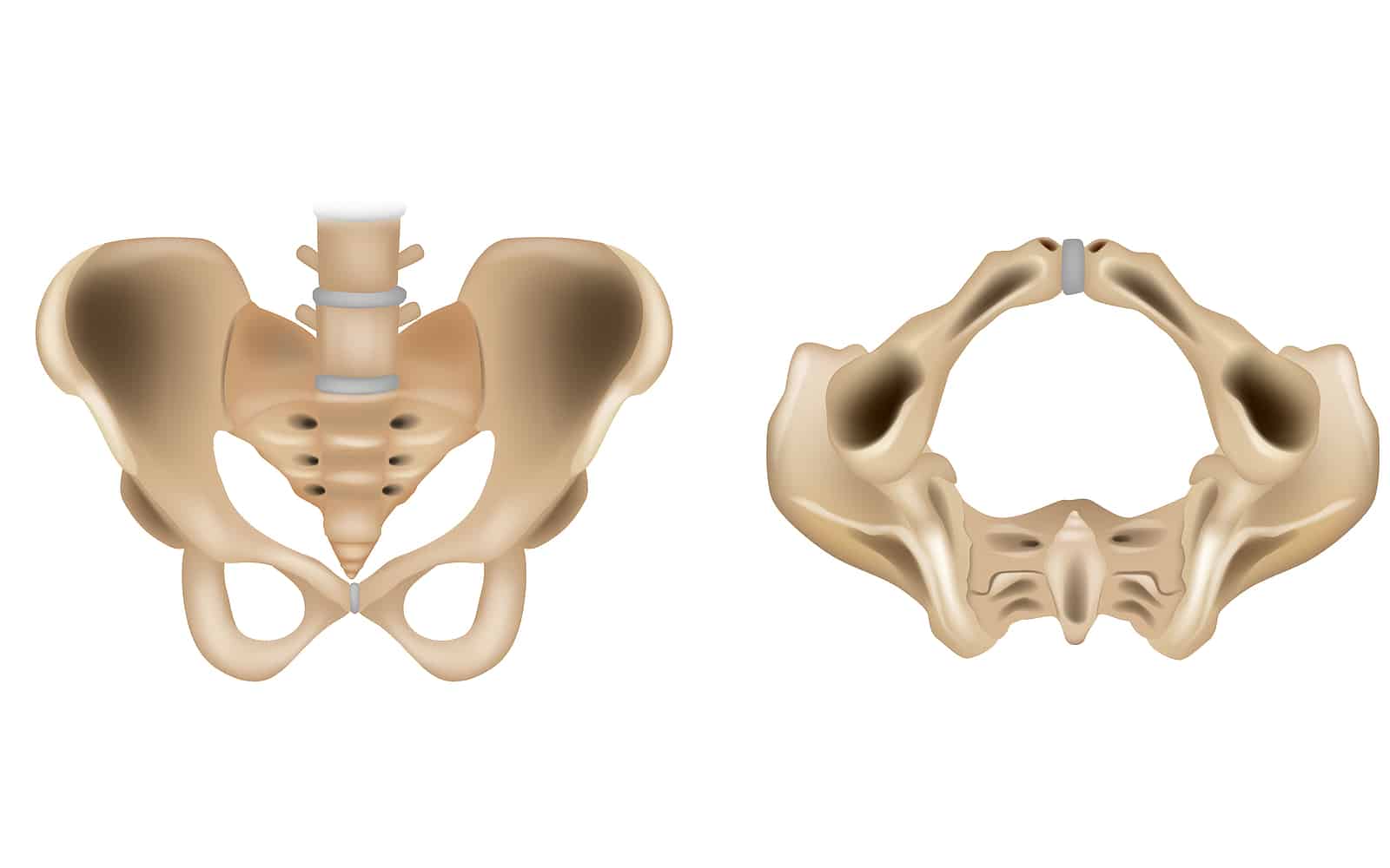 Tailbone (Coccyx) Fracture  Saint Luke's Health System